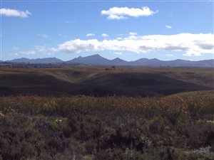 1 ha Land available in Gondwana Game Reserve