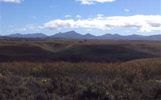 1 ha Land available in Gondwana Game Reserve
