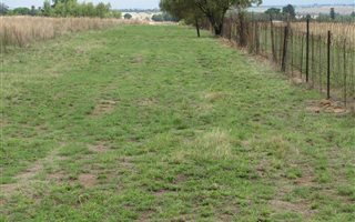 9 ha Farm in Tweedragt
