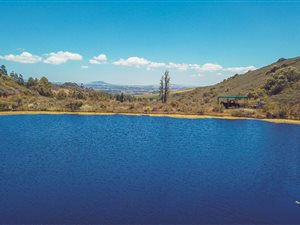 38 ha Farm in Stellenbosch Agricultural