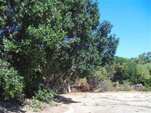 720 m² Land available in Paradise Beach