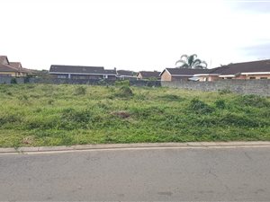 1000 m² Land available in Birdswood