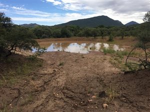 46 ha Farm in Mokopane