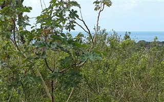 1374 m² Land available in Saiccor
