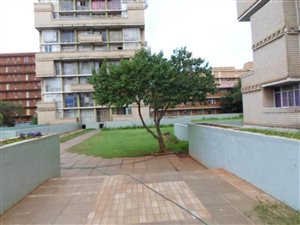 2 Bed Apartment in Sunnyside