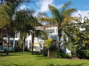9 ha Farm in Stellenbosch Agricultural