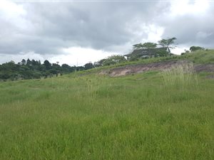 1357 m² Land available in Eshowe
