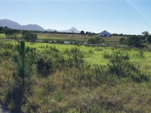 1243 m² Land available in Tsitsikamma