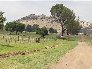 1.2 ha Land available in Hobhouse