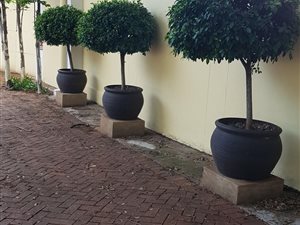 2 Bed Duplex in Hatfield