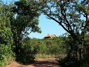 42.8 ha Farm in Mookgophong (Naboomspruit)