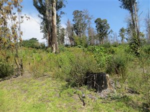 400 m² Land available in Phantom River View