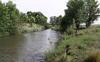 305 ha Farm in Carolina
