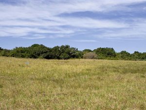 807 m² Land available in Kenton-on-Sea
