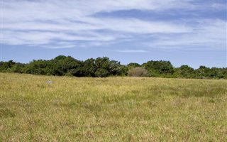 807 m² Land available in Kenton-on-Sea
