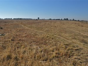 2.6 ha Land available in Nelsonia