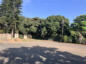 3.4 ha Land available in Amanzimtoti