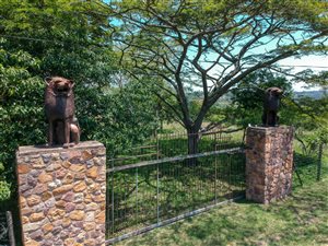 1.9 ha Land available in Waterfall