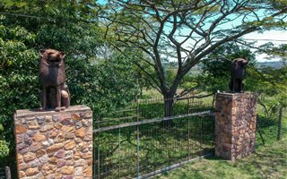 1.9 ha Land available in Waterfall