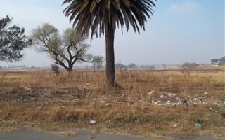 2 ha Land available in Withok Estates