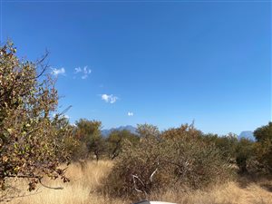 1 ha Land available in Hoedspruit