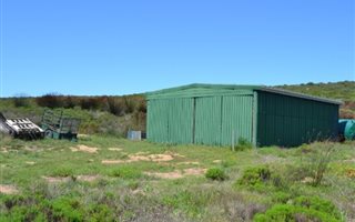 365.4 ha Farm in Albertinia