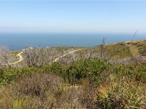 4000 m² Land available in Pezula Private Estate