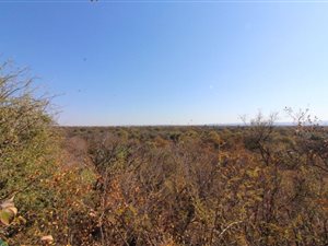 43 ha Farm in Modimole (Nylstroom)