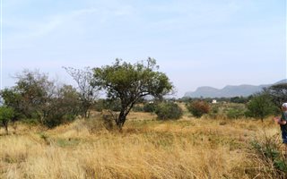 8.6 ha Land available in Syferfontein