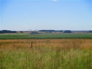 21 ha Farm in Bashewa