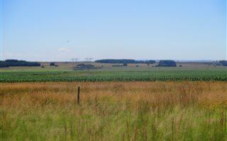 21 ha Farm in Bashewa