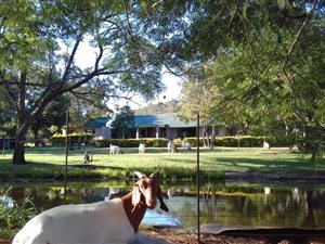 35 ha Farm in Bela-Bela (Warmbaths)