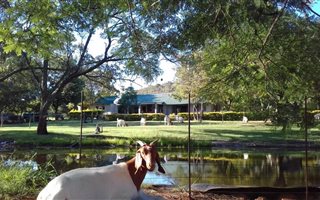 35 ha Farm in Bela-Bela (Warmbaths)