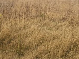 2642 m² Land available in Secunda