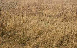 2642 m² Land available in Secunda