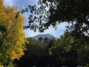 1096 m² Land available in Golden Hill