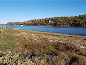 7000 m² Smallholding in Kenton-on-Sea