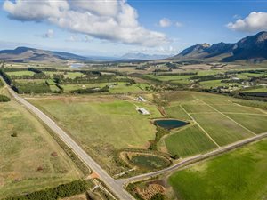 60 ha Farm in Hemel en Aarde
