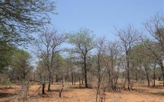 889 ha Farm in Klaserie Private Nature Reserve