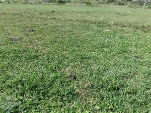 588 m² Land available in Esikhawini