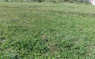 588 m² Land available in Esikhawini
