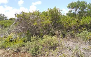 610 m² Land available in Boggomsbaai