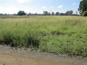 3.7 ha Land available in Bloemspruit