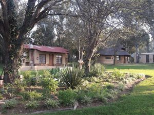 33 ha Farm in Magaliesburg