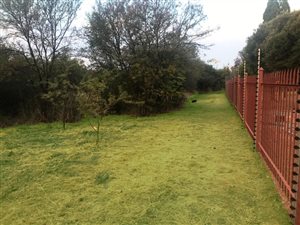 1 ha Farm in Kameelfontein and surrounds