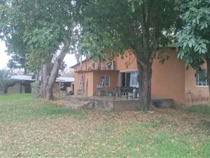 21 ha Farm in Tzaneen