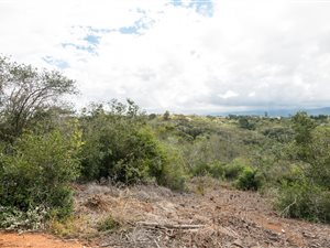 24 ha Farm in Victoria Heights