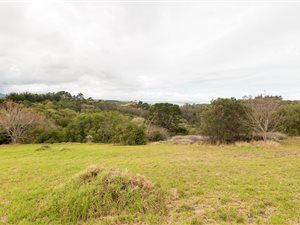 24 ha Farm in Victoria Heights