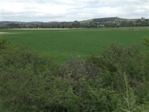 226 ha Farm in Heidelberg