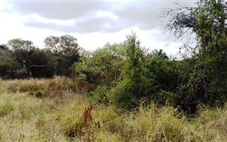 7.8 ha Land available in Ashburton